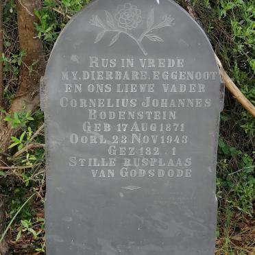 BODENSTEIN Cornelius Johannes 1871-1943