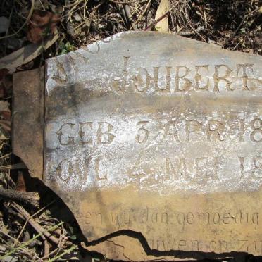 JOUBERT Ja?? 1894-1894