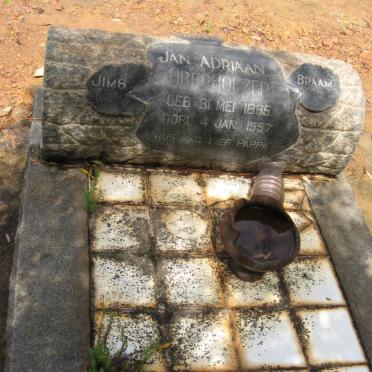 OBERHOLZER Jan Adriaan 1885-1957