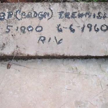 THEUNISSEN R.B.P 1900-1960