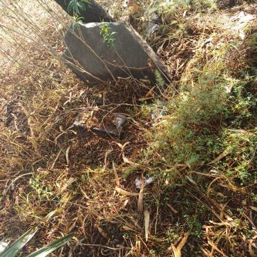 1. Unknown :: Illegible