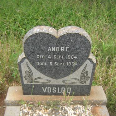 VOSLOO André 1964-1964