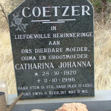 North West, POTCHEFSTROOM district, Buffelshoek 471 IQ, farm cemetery_5