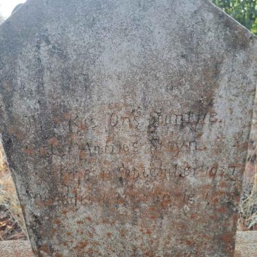 STEYN ? Andries 1937-1938