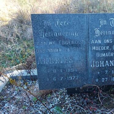 BREEDT Andries P. 1894-1977 & Johanna S. 1907-1986