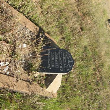 COETZEE Dorothea P. 1881-1921