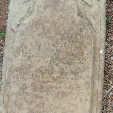 AARDT Alletha Sophia, van 1881-1888