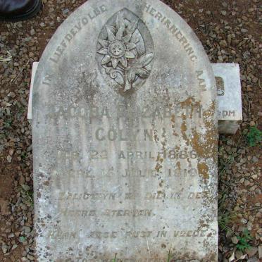 COLYN Jacoba Elizabeth 1886-1919