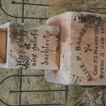 BROODRYK Alice P. 1909-1910