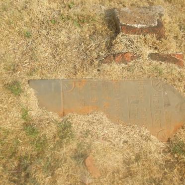 BOTHA Helena Dorathea nee VAN ROOYEN