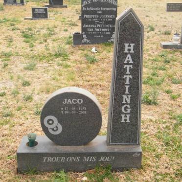 HATTINGH Jaco 1952-2001