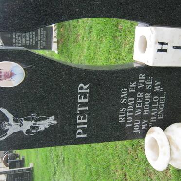 HITGE Pieter 1959-2003