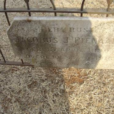 PIENAAR Jacobus J. 1890-1916