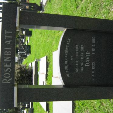 ROSENBLATT David 1925-1990