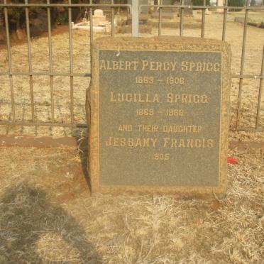 SPRIGG Albert Percy 1863-1908 &amp; Lucilla 1869-1968 :: SPRIGG Jessamy Francis -1905