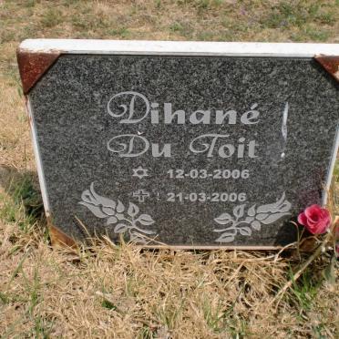 TOIT Dihané, du 2006-2006