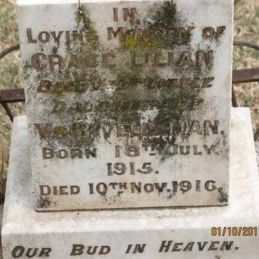 VELLEMAN Grace Lilian 1915-1916