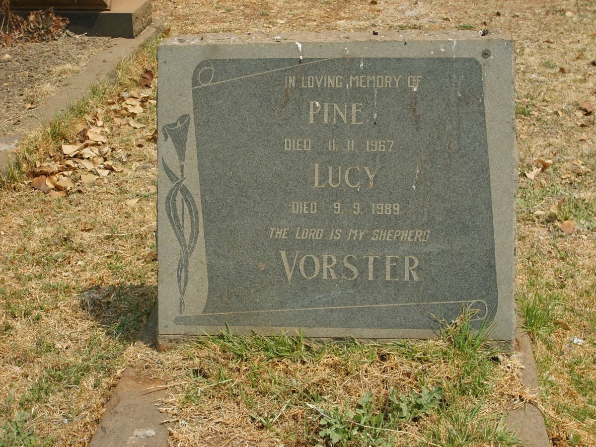 VORSTER Pine -1967 &amp; Lucy -1989