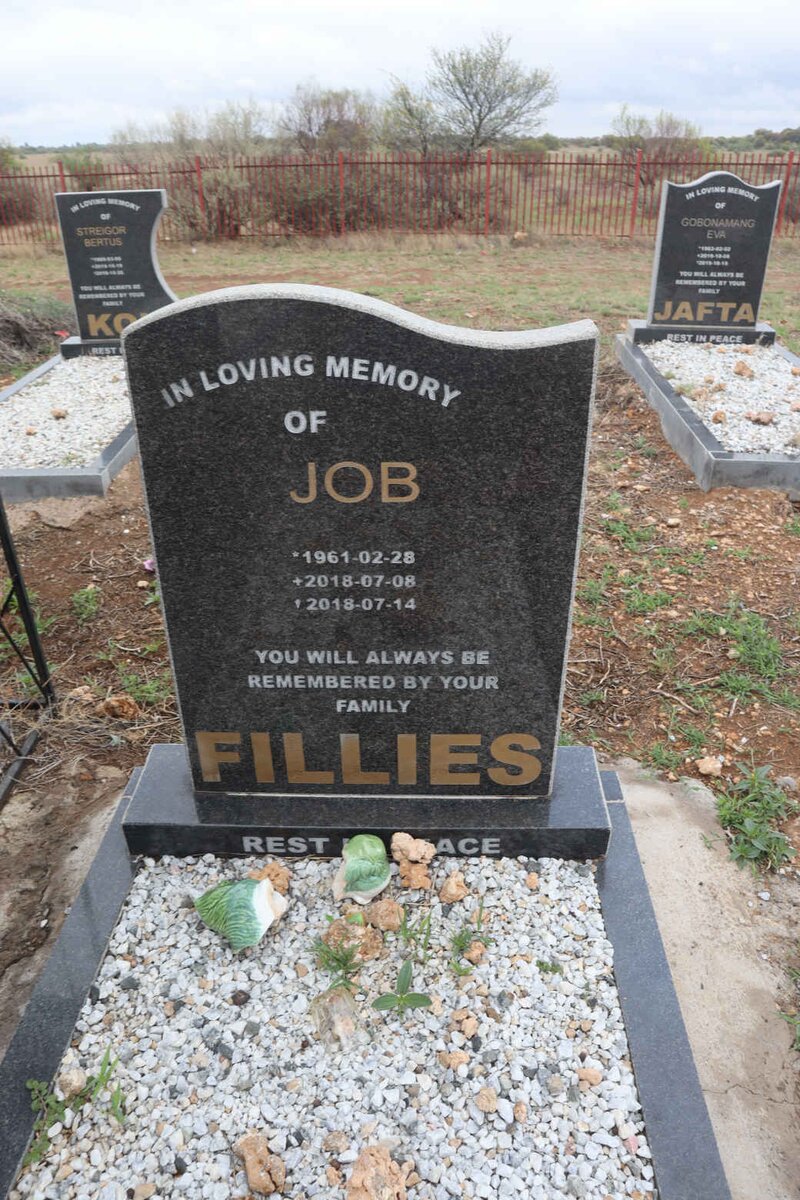 FILLIES Job 1961-2018