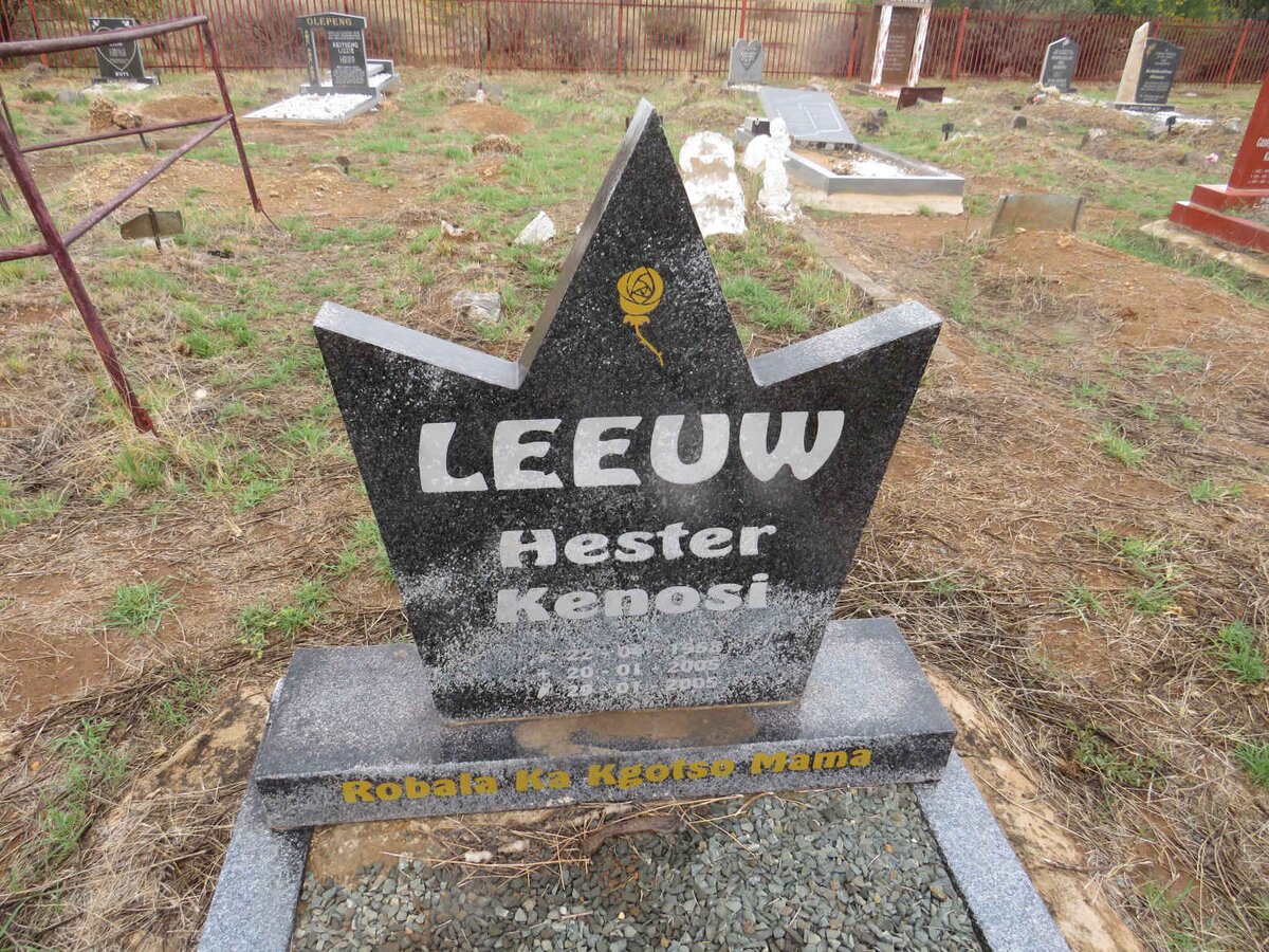 LEEUW Hester Kenosi 1958-2005