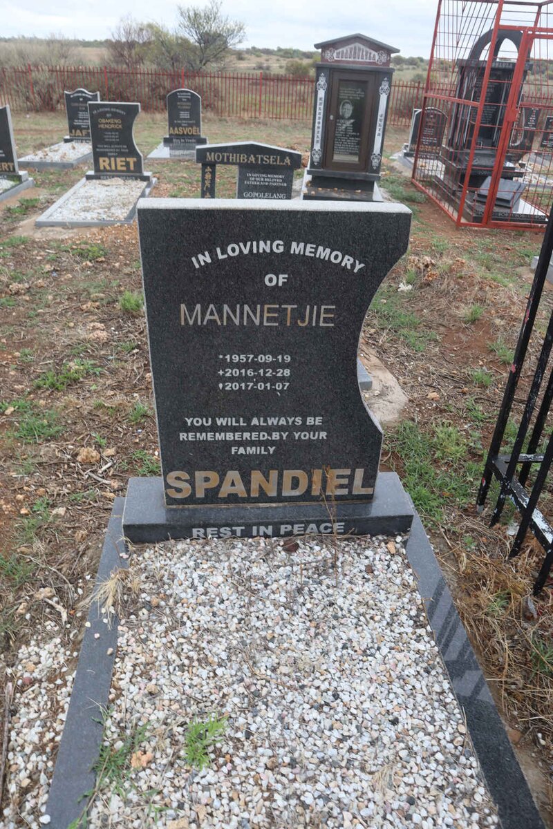 SPANDIEL Mannetjie 1957-2016