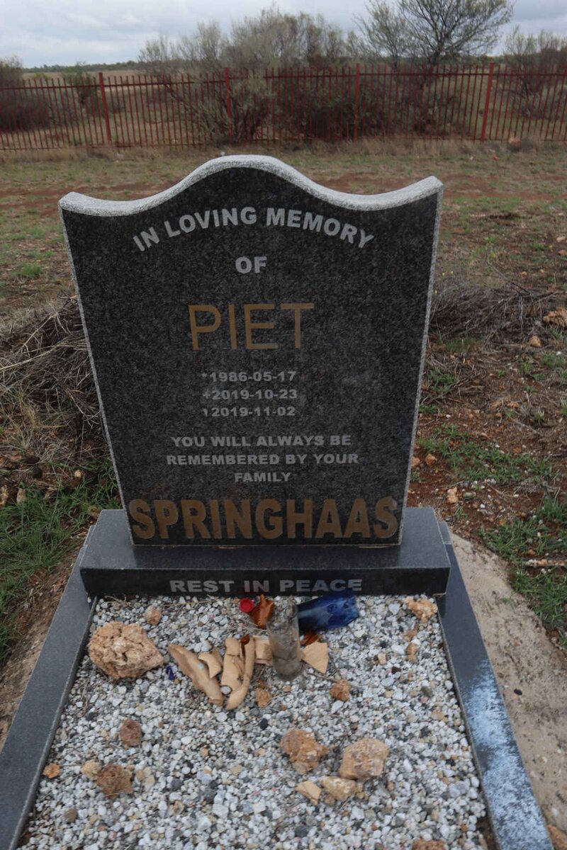 SPRINGHAAS Piet 1986-2019