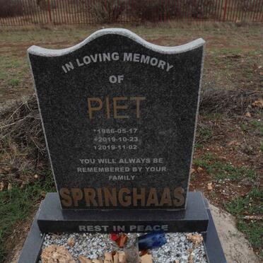 SPRINGHAAS Piet 1986-2019