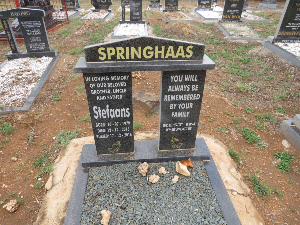 SPRINGHAAS Stefaans 1979-2016