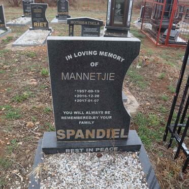 SPANDIEL Mannetjie 1957-2016