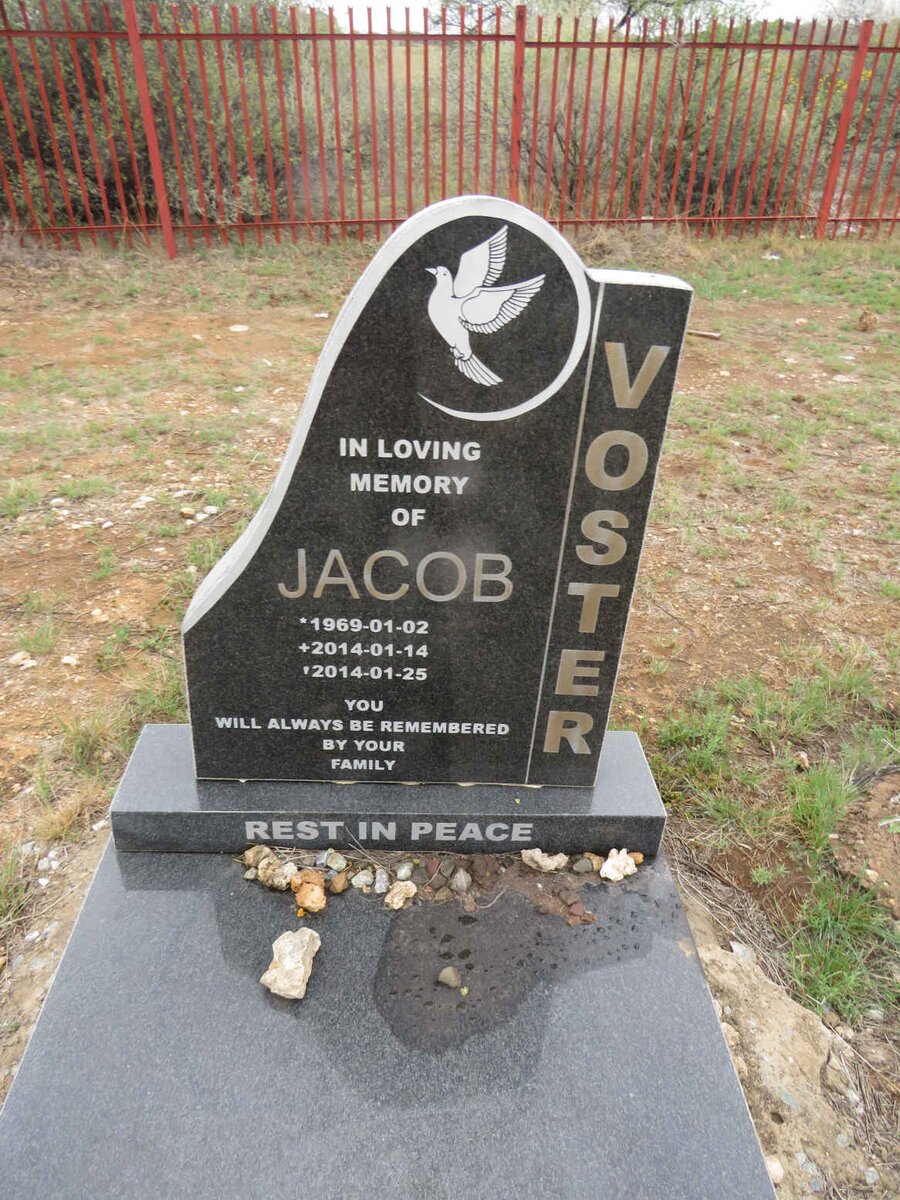 VOSTER Jacob 1969-2014