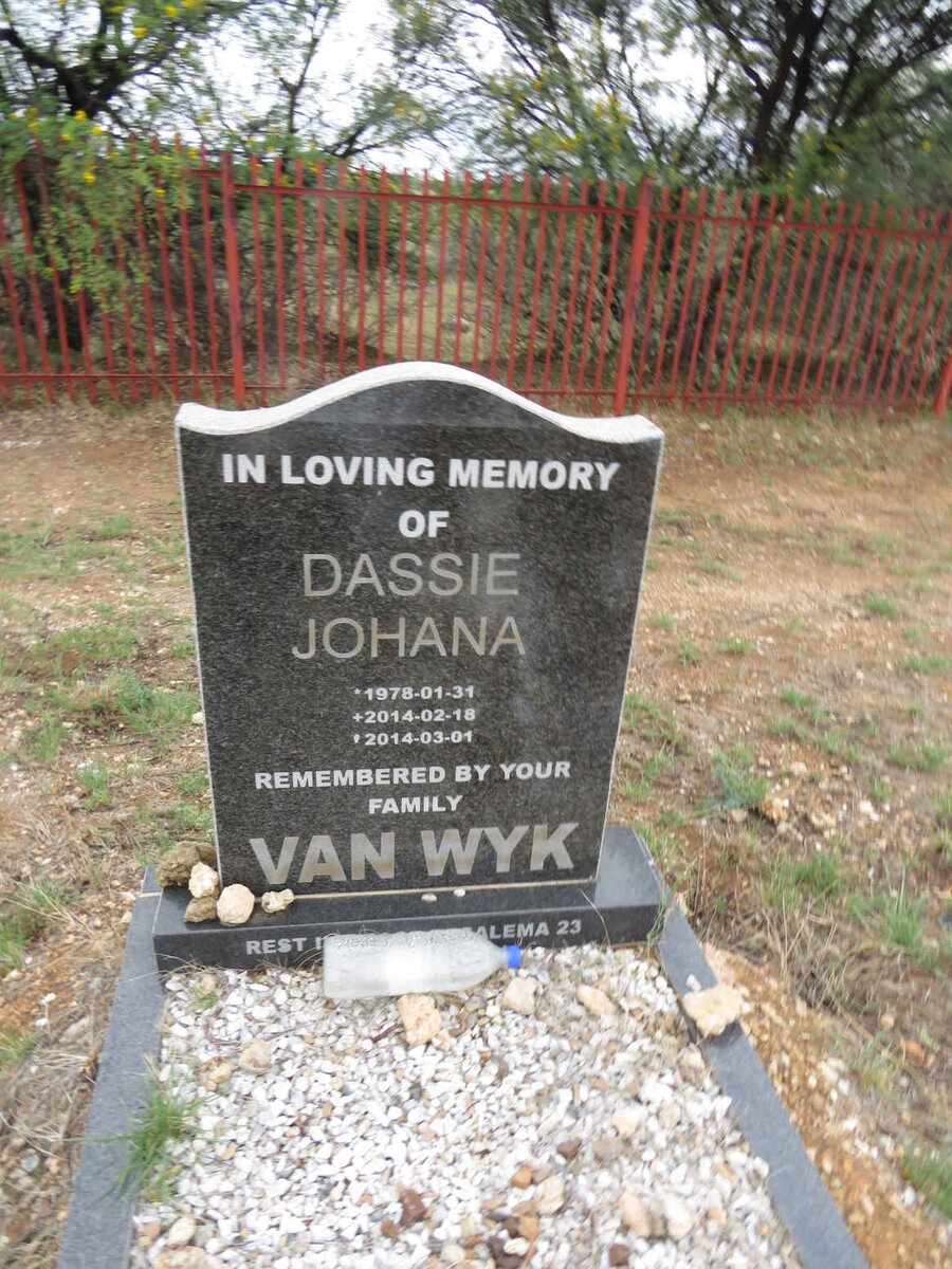 WYK Dassie Johana, van 1978-2014