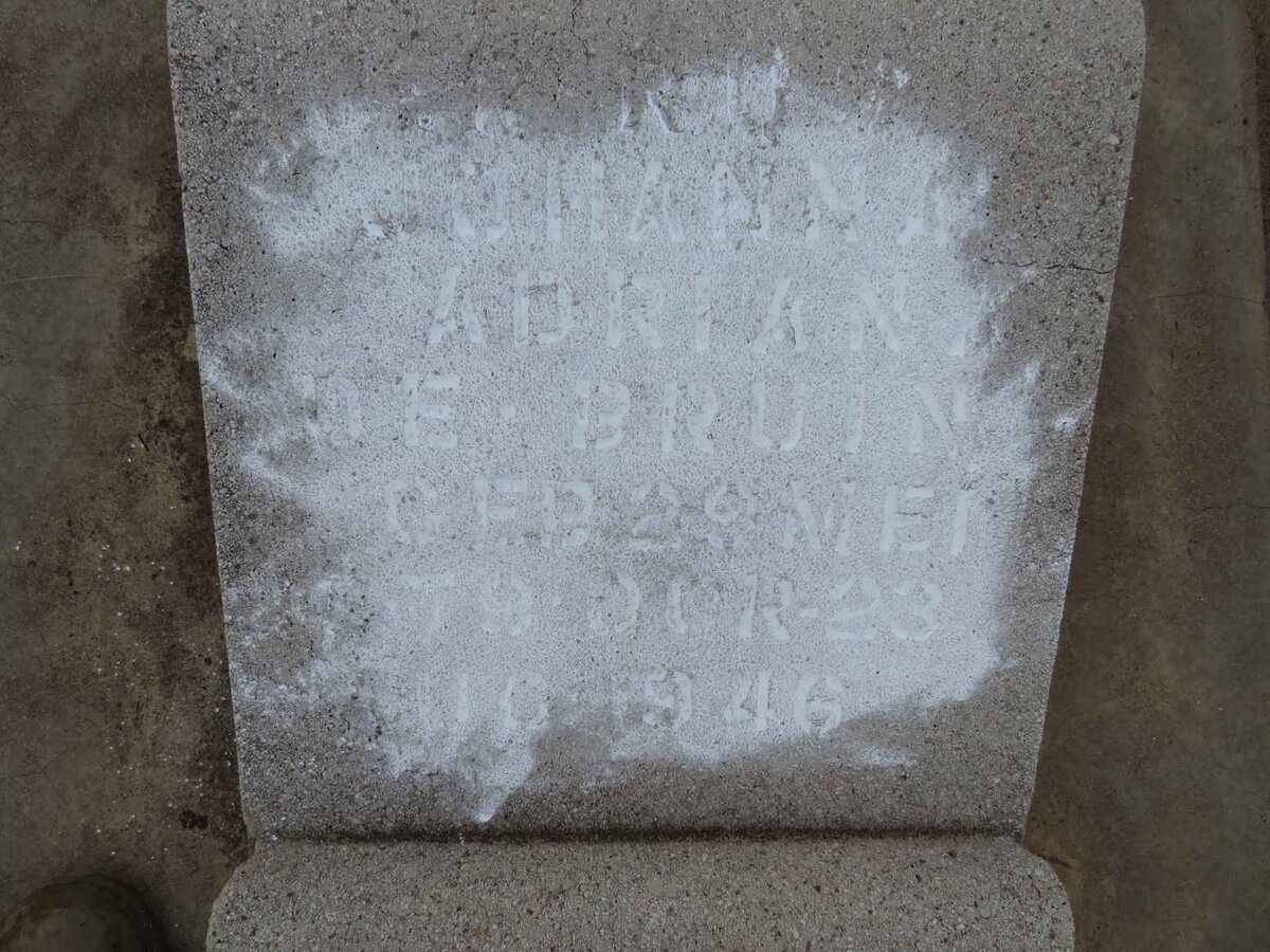 BRUIN Johanna Adriana, de 1879-1946