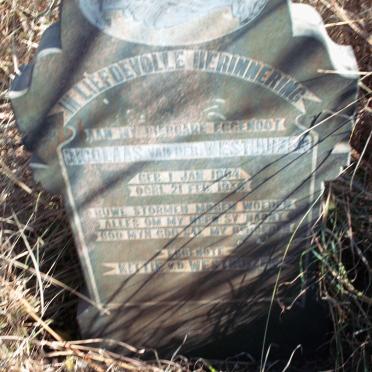 WESTHUIZEN Nicolaas, van der 1884-1936