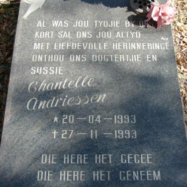 ANDRIESSEN Chantelle 1993-1993