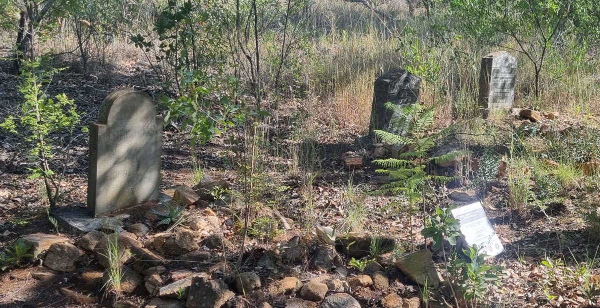 1. Overview / Oorsig