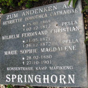 SPRINGHORN Henriette Dorothea Catharine 1869-1872 :: SPRINGHORN Wilhelm Ferdinand Christian 1871-1872