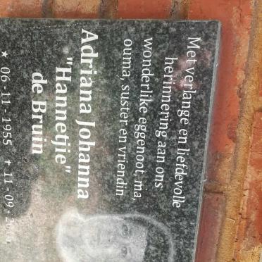 BRUIN Adriana Johanna, de 1955-2016