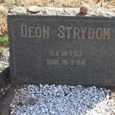 STRYDOM Deon 1953-1958