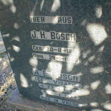 BOSCH J.H. 1861-1949 &amp; A.E. VISAGIE 1884-1977