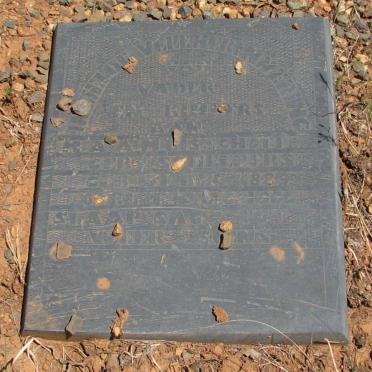 BISSCHOFF M.A.A.M. 1889-1935 