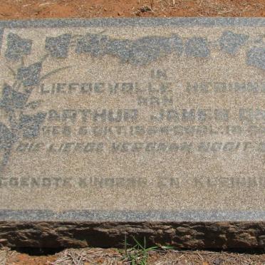 D - Surnames starting with the letter D