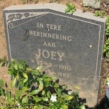 ? Unknown &amp; illegible graves