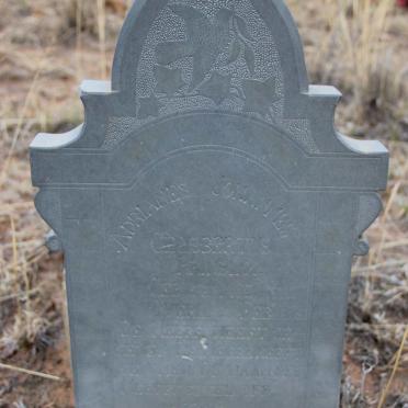 PRINSLOO Adrianes Johannes Geysbertus