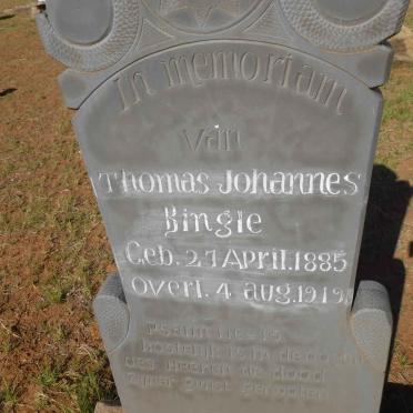BINGLE Thomas Johannes 1885-1919