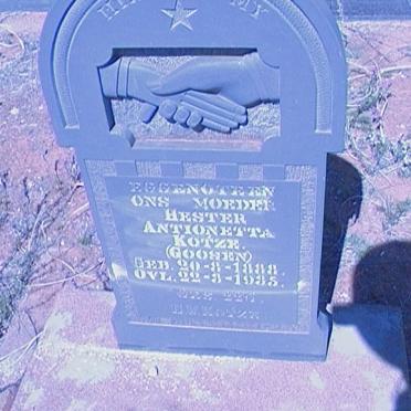 KOTZE Hester Antionetta nee GOOSEN 1888-1935