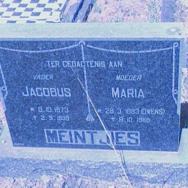 MEINTJIES Jacobus 1873-1935 &amp; Maria OWENS 1883-1968