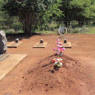 3. Overview / Oorsig