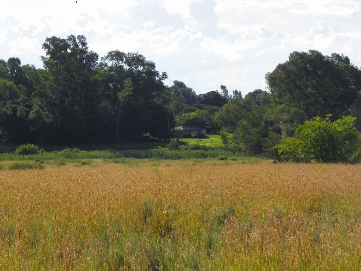 4. Nearby old homestead