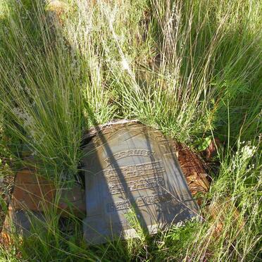 VENTER Maria J. nee DU PREEZ 1878-1914