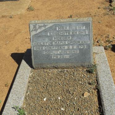 CROUKAMP Heiletje Maria nee COERTZEN 1879-1943